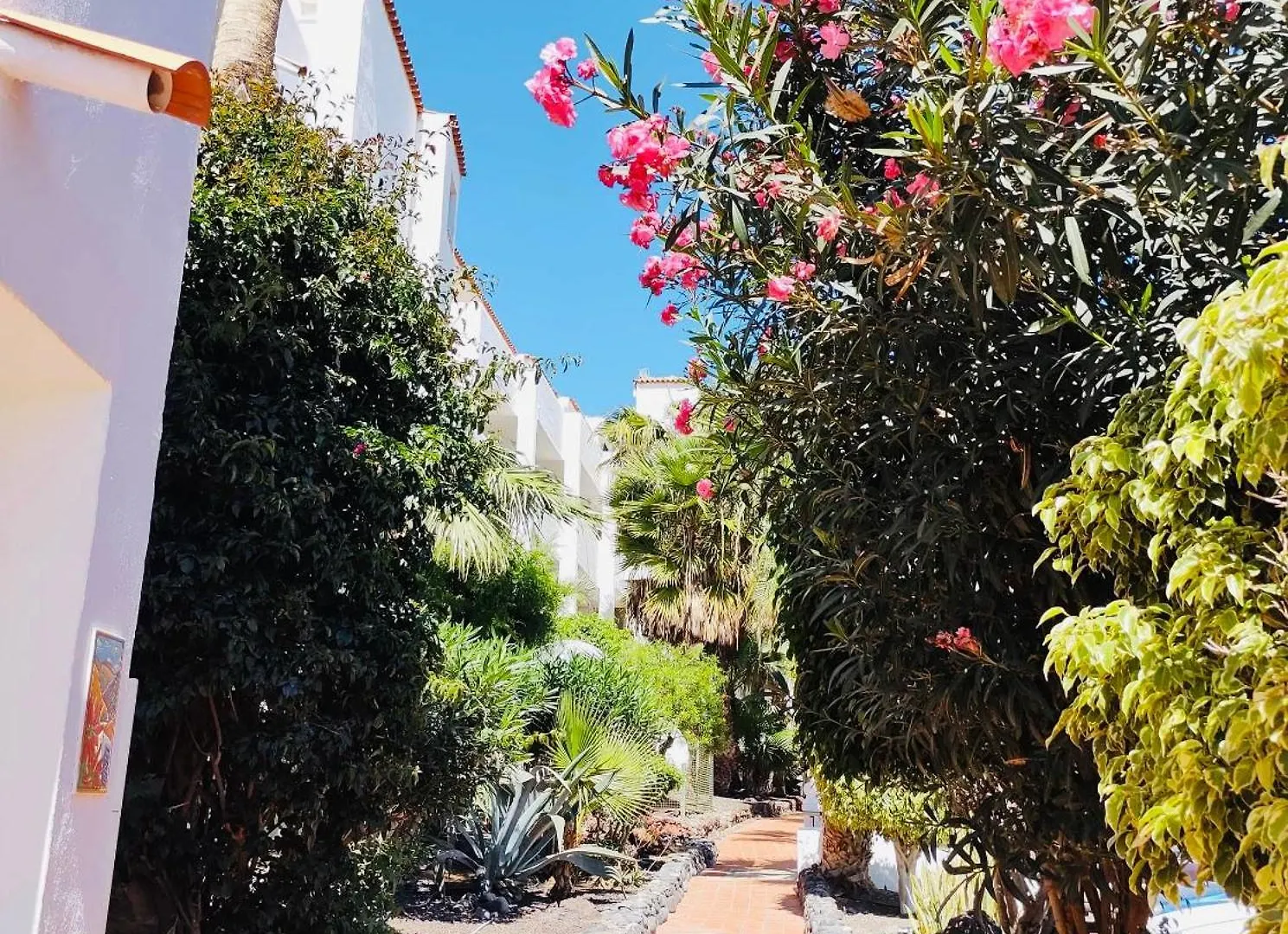 Amarilla Golf Apartment San Miguel de Abona